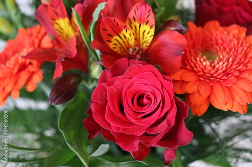 closeup of bouquet of red flowers