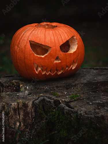 halloween jack o lantern pumpkin