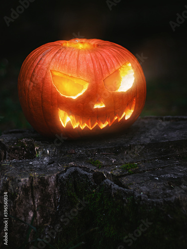 halloween pumpkin on a black background
