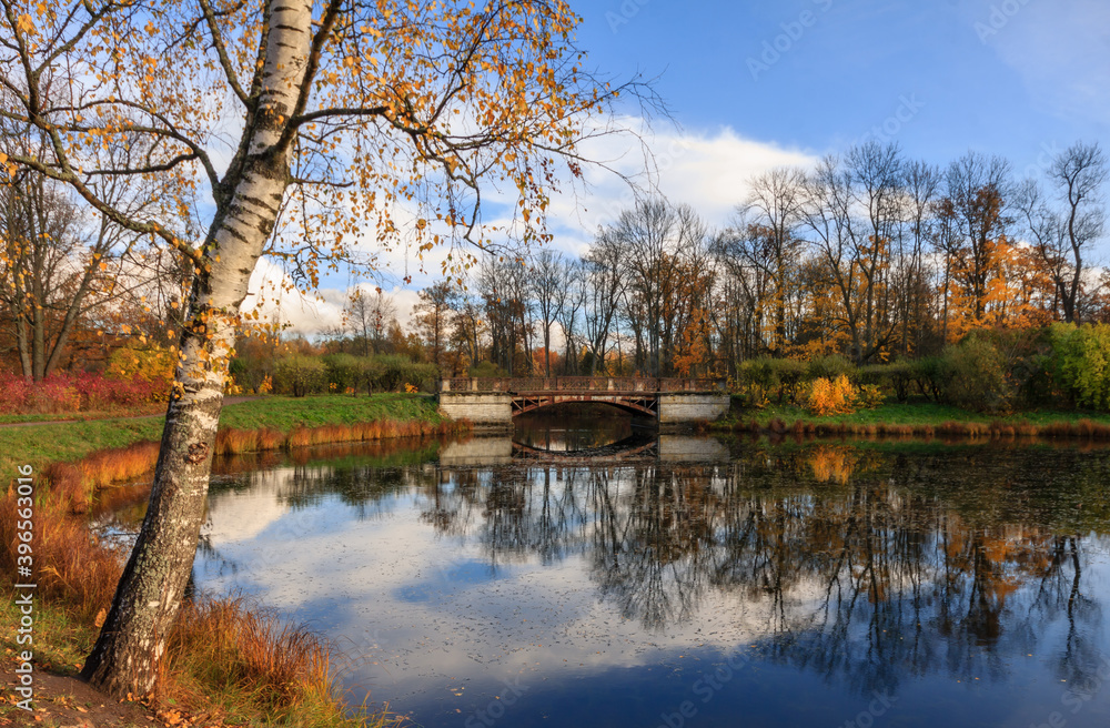 The Alexander Park during golden autumn, Pushkin city, Saint-Petersburg, Russia, orange leafs, historical bridge The Alexander Park during golden autumn, Pushkin city, Saint-Petersburg, Russia, orange leafs, historical bridge