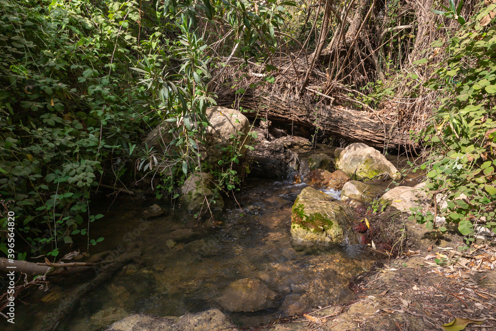The swift, shallow, cold mountain Ayun river in the Galilee in northern Israel The swift, shallow, cold mountain Ayun river in the Galilee in northern Israel