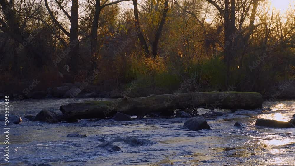 River bank at sunset, beautiful views River bank at sunset, beautiful views