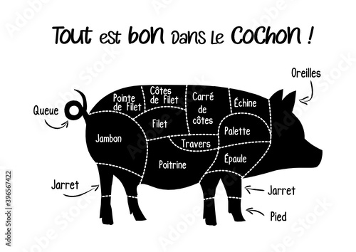 Le porc, cochon: boucherie pièces de viande de porc, schéma découpe du cochon en français, illustration, croquis photo