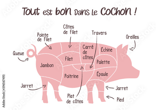 Le porc, cochon: boucherie pièces de viande de porc, schéma découpe du cochon en français, illustration, croquis France