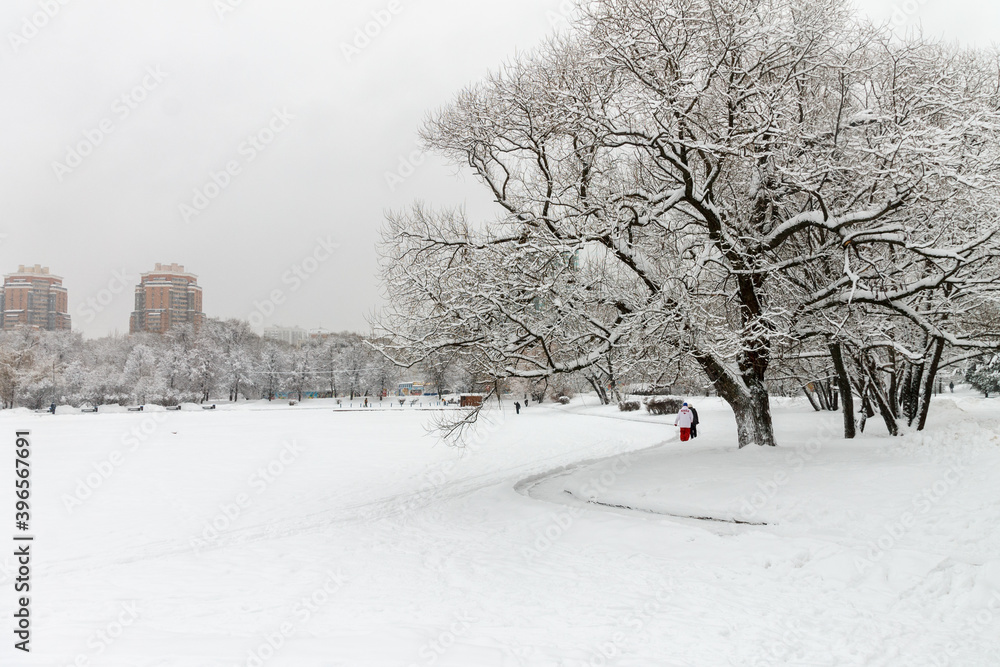 Naklejka premium Snow-covered Park. Heavy snow covered people, trees, streets, houses. Snow storm, Blizzard in the city. Huge snowdrifts lie on the road. White snow falls in the Park during the day. Winter landscape