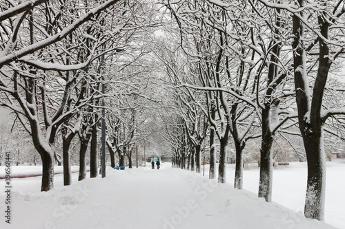 Snow-covered Park. Smooth snow and high brick houses on the horizon. Large snowdrifts lie on a flat field against the background of a city street. During the day  white snow falls in the Park. Winter