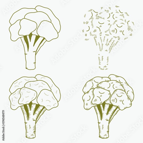 Broccoli cabbage set. Graphics, green. Hand drawn vector illustration