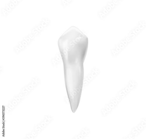 Single Root Tooth Composition