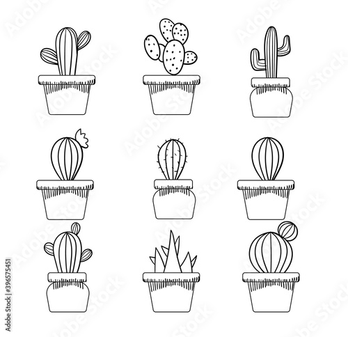 Set of various cactuses in a pot. Monochrome line art