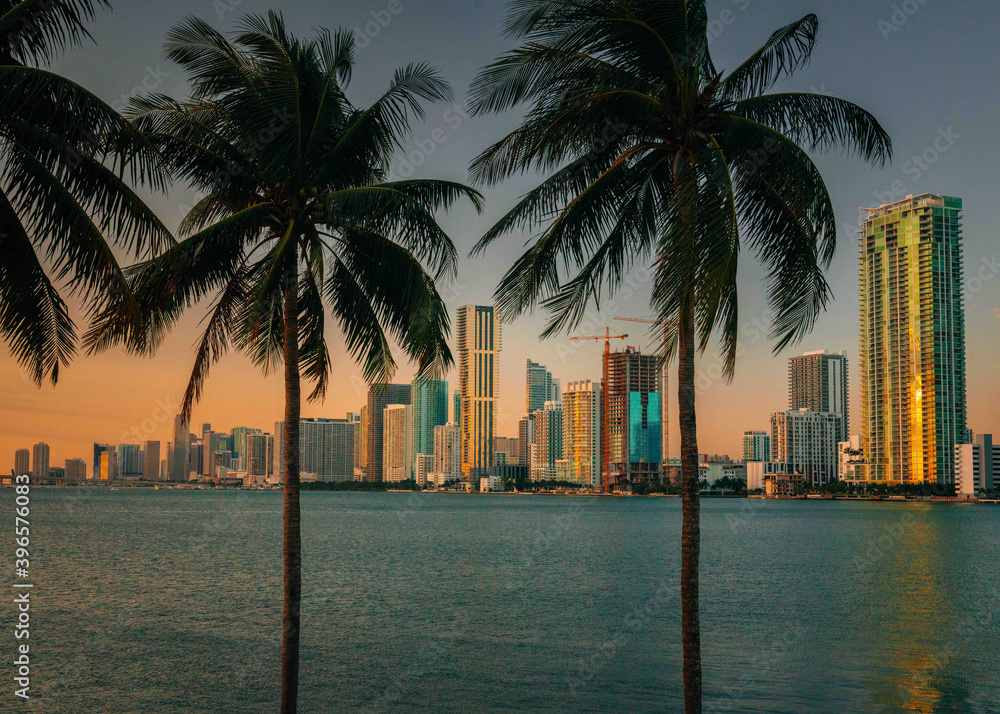 Obraz premium beach at sunrise view miami skyline palms tropical tree buildings beautiful 