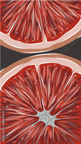 Composition of two slices of grapefruit. Hand drawn citrus fruit