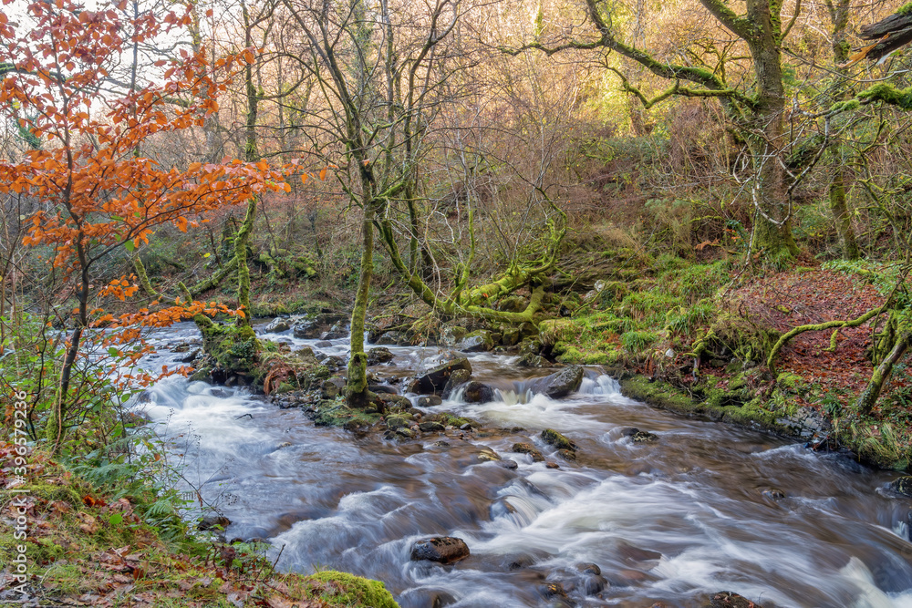November stream in Skaigh Valley, Belstone, edge of Dartmoor National Park, England. November stream in Skaigh Valley, Belstone, edge of Dartmoor National Park, England.