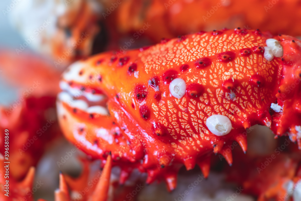 Kamchatka crab, frozen red king crab,  Alaskan king crab close up view, vibrant macro image in a local fish store