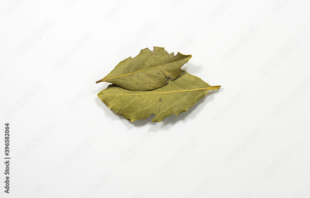 Lorbeerblatt