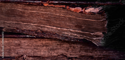 Obraz na płótnie Old worn books in leather cover in the dark. Closeup of the Torah end. Selective focus. Low key. w salonie
