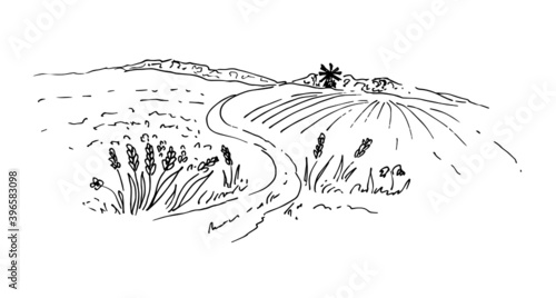 Field, wheat, crops, mill. Vector illustration. Sketch.