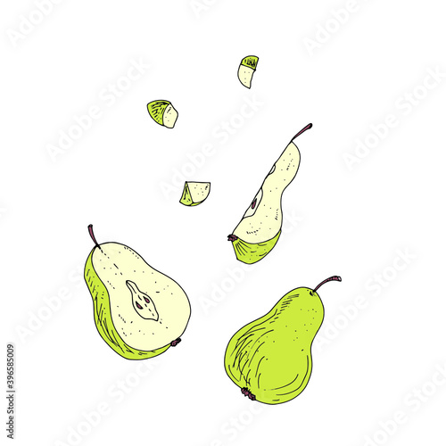 Pear, half pear, pear slice, pieces. Vector illustration.