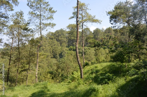 beautiful landscape for tropical mountain