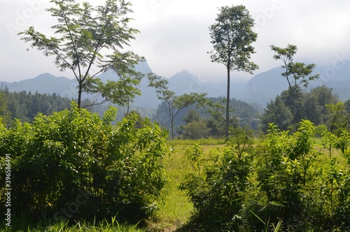 beautiful landscape for tropical mountain