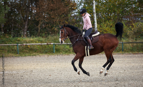 Horse With rider during training, here the change of canter, phase 7 photographed from the side.. © RD-Fotografie