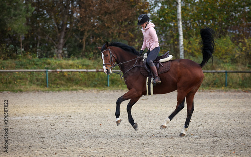 Horse With rider during training, here the change of canter, phase 8 photographed from the side.. © RD-Fotografie