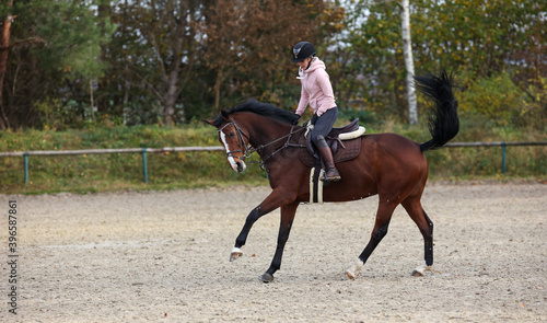 Horse with rider during training, here the change of canter, phase 9 photographed from the side.. © RD-Fotografie