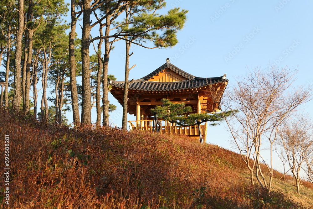 A park along the Jinju River