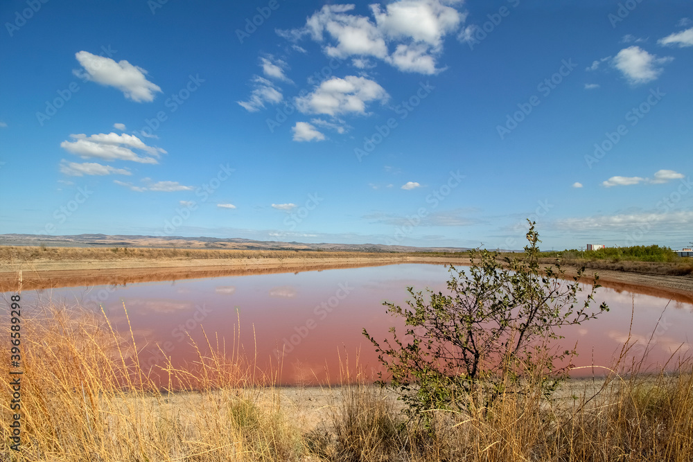 Landscape. Blue sky with white clouds, dry grass, a tree, and a pink salt lake. Burgas, Bulgaria