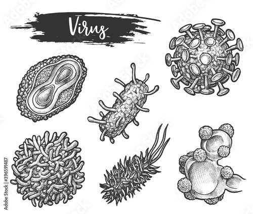 Isolated sketch of virus cell types. HIV and flu, influenza and rotavirus, herpes and rabies. Microbe and fungi, bacteria and microorganism, protozoa and bacterium, germ. Medicine and biology