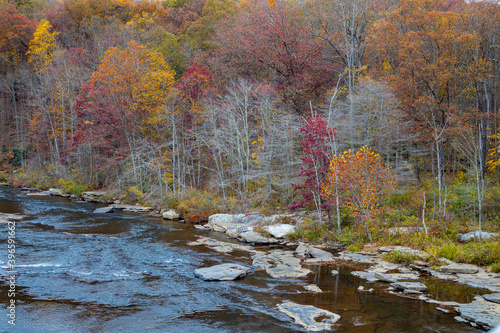 View from the Greater Allegheny Passage Bridge in Ohiopyle.