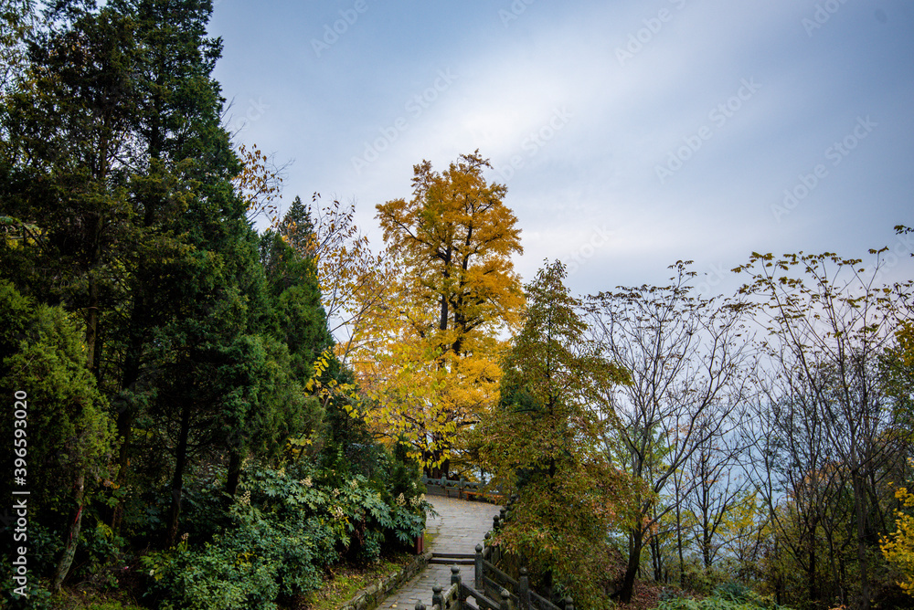 Amazing autumn landscape at Wudang Mountain. Amazing autumn landscape at Wudang Mountain.
