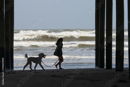 Silhouette of a teenage girl and standard poodle dog walking on the Galveston Island, Texas beach.