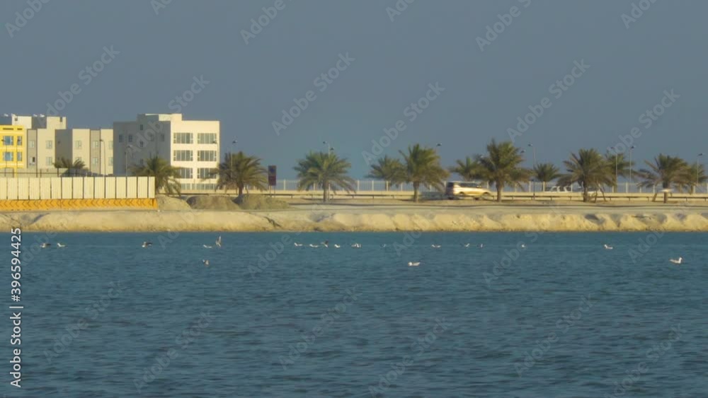 Galali, Bahrain coast with palm trees and buildings Galali, Bahrain coast with palm trees and buildings