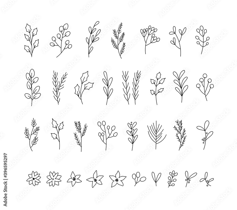 Vector illustration of winter plants: holly berry, mistletoe, poinsettias, pine, cedar, blue spruse. Hand-drawn Christmas plants set. Lina art. Suitable for postcards, invitations, web design. Vector illustration of winter plants: holly berry, mistletoe, poinsettias, pine, cedar, blue spruse. Hand-drawn Christmas plants set. Lina art. Suitable for postcards, invitations, web design.