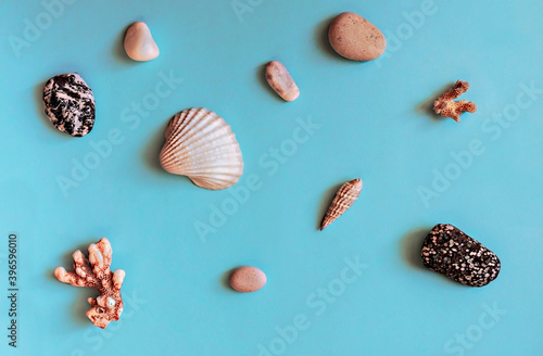 Abstract blue background with sea objects - pebble stones, seashells, corals. Design elements, flat lay, wallpaper