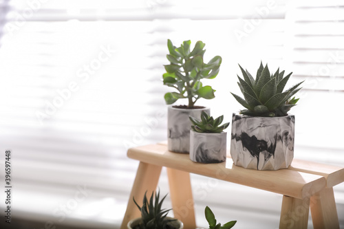 Fototapeta Naklejka Na Ścianę i Meble -  Beautiful potted succulents on wooden stand indoors. Space for text