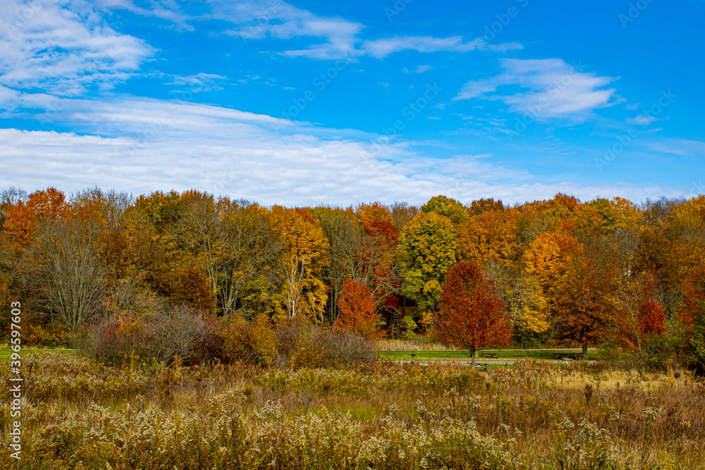 Fall foliage at Moraine State Park on a sunny day with clear blue skies.