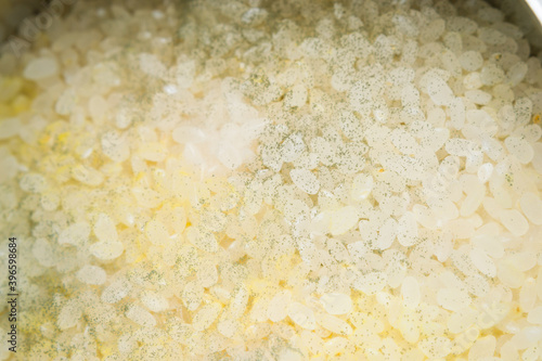 close-up photo of rice with fungus photo