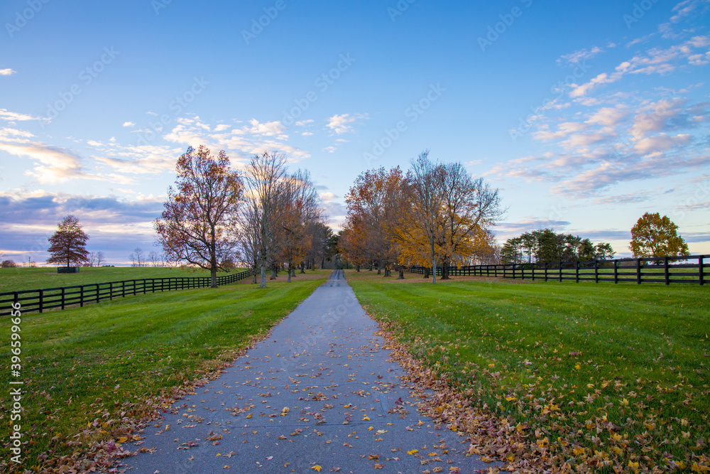 Sunset autumn landscape at countryside. Road along horse farms. Sunset autumn landscape at countryside. Road along horse farms.