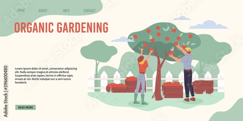 Cartoon flat characters harvesting on the farm - ecological,organic,agriculture concept for web online,site design
