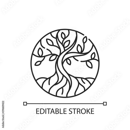 Life tree linear icon. Metaphor for Torah. Earth and heaven connection. Hebrew creation myth. Thin line customizable illustration. Contour symbol. Vector isolated outline drawing. Editable stroke
