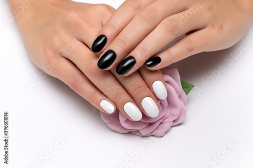 Black and white manicure on short oval nails close-up on a white background with a pink rose