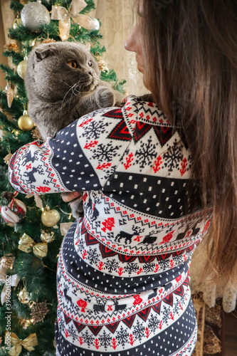 Woman holding a pet in her arms. Gray cat of the British breed. The girl is dressed in a festive dress with an ornament, near her - a Christmas tree.