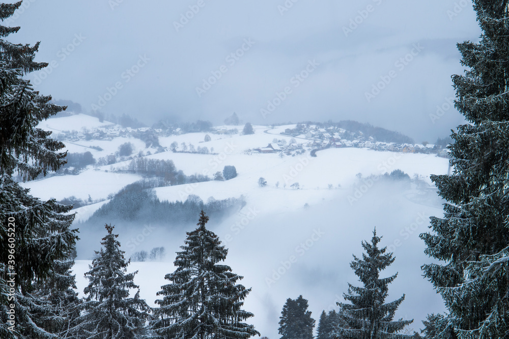 Snow-covered mountain slopes, pine trees in the snow. In the clouds