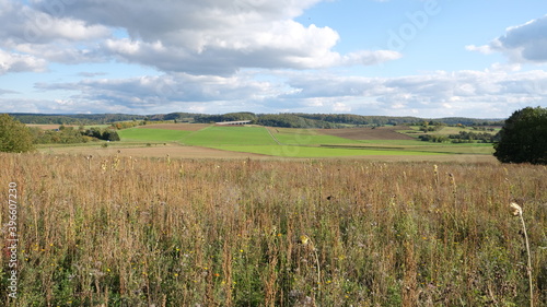 Felder um Buseck mit Blick auf Autobahnbr  cke