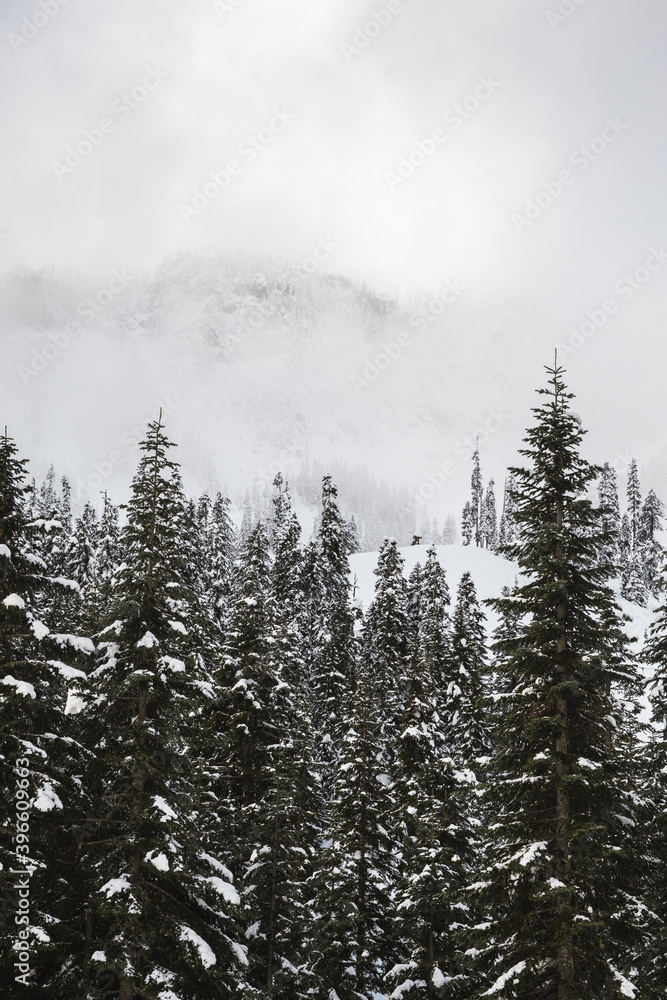Winter scene of foggy mountains and forest in North Bend, Washington