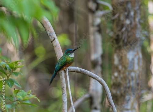 Fotografía Guyane