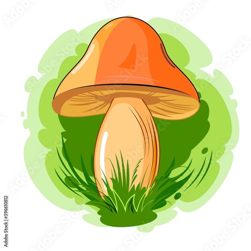 Orange mushroom on an abstract background. Picture. Vector isolated on white. Cartoon flat style. Beautiful little forest mushroom in the grass.