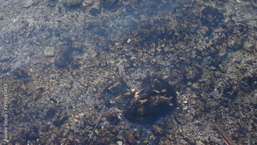 Sun is reflected in clear transparent water with stones underwater Sun is reflected in clear transparent water with stones underwater
