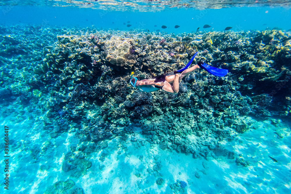 Man in snorkeling mask dive underwater with tropical fishes in coral reef sea pool. Travel lifestyle, water sport outdoor adventure, swimming on summer beach holiday. Underwater shooting